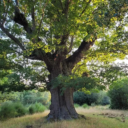 Casa Caraba De Monterrubio