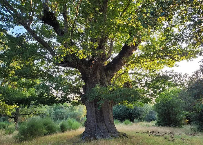 Casa Caraba De Monterrubio